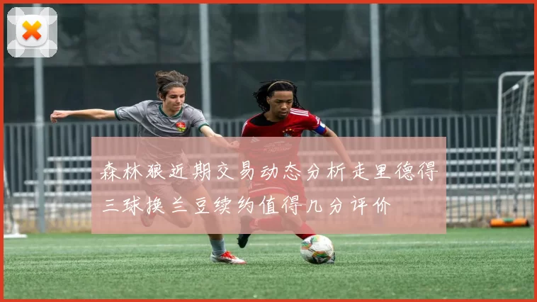森林狼近期交易动态分析走里德得三球换兰豆续约值得几分评价